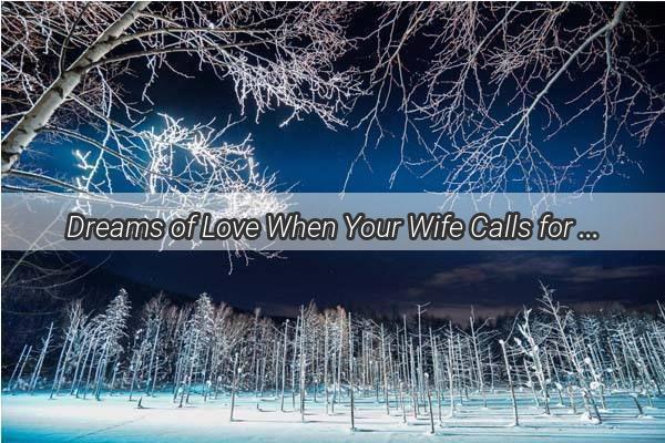 Dreams of Love When Your Wife Calls for Your Help in the Night  A Tale of Intimate Dreams and Emotional Connections